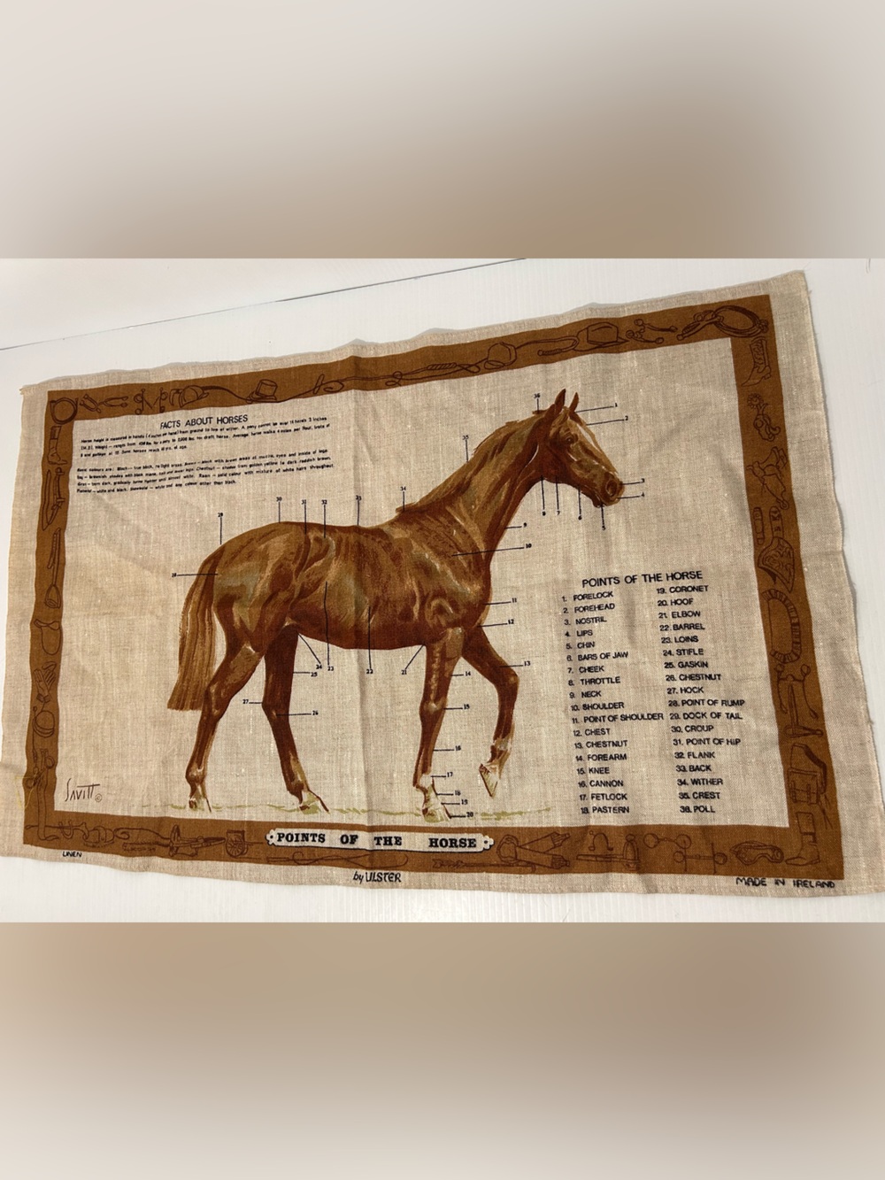 Points of the Horse Ulster Irish Linen Horse Tea Towel